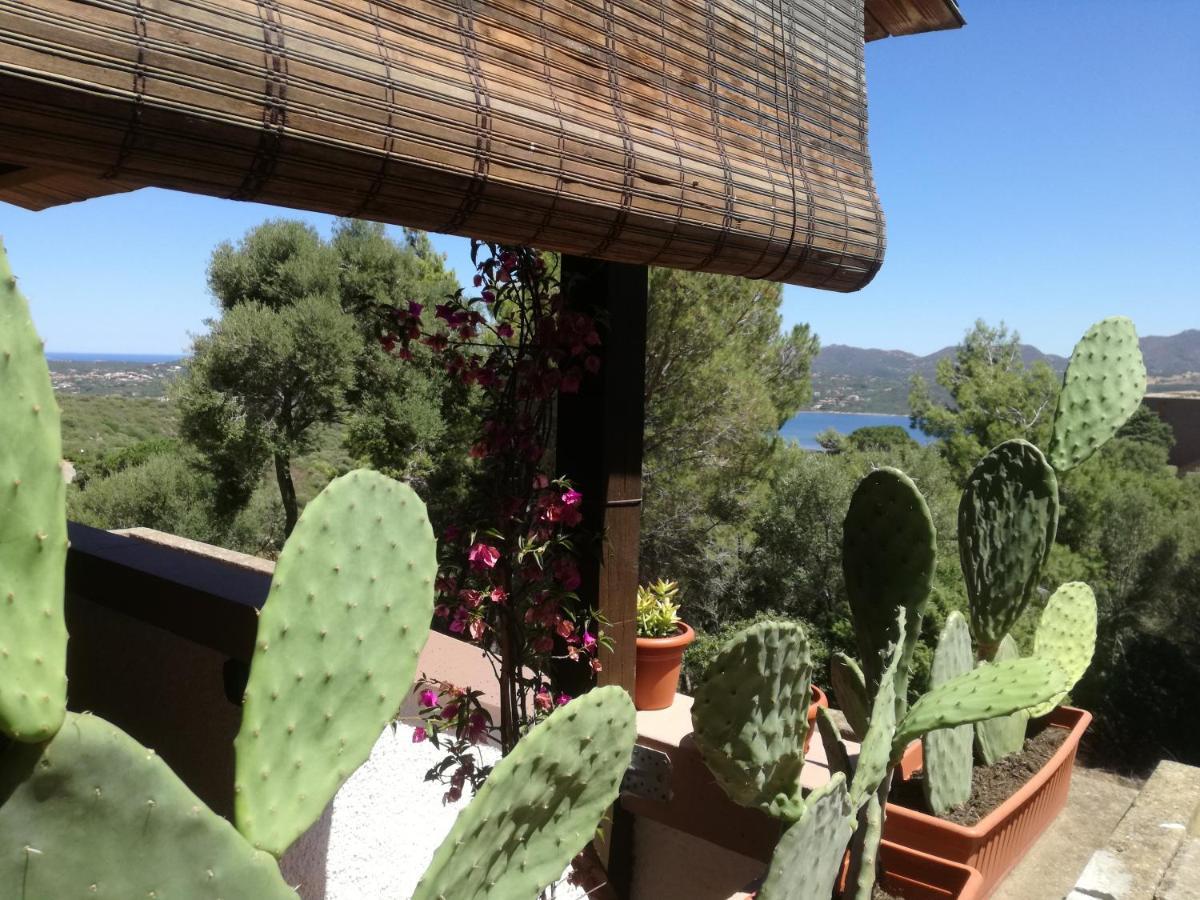 Ferienwohnung Lucianasit Cugnana Verde Exterior foto